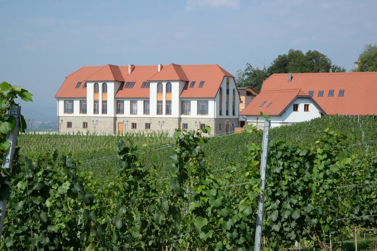 Weingut Taggenbrunn Hotel ซังค์ทเฟทอันแดกลาน ภายนอก รูปภาพ