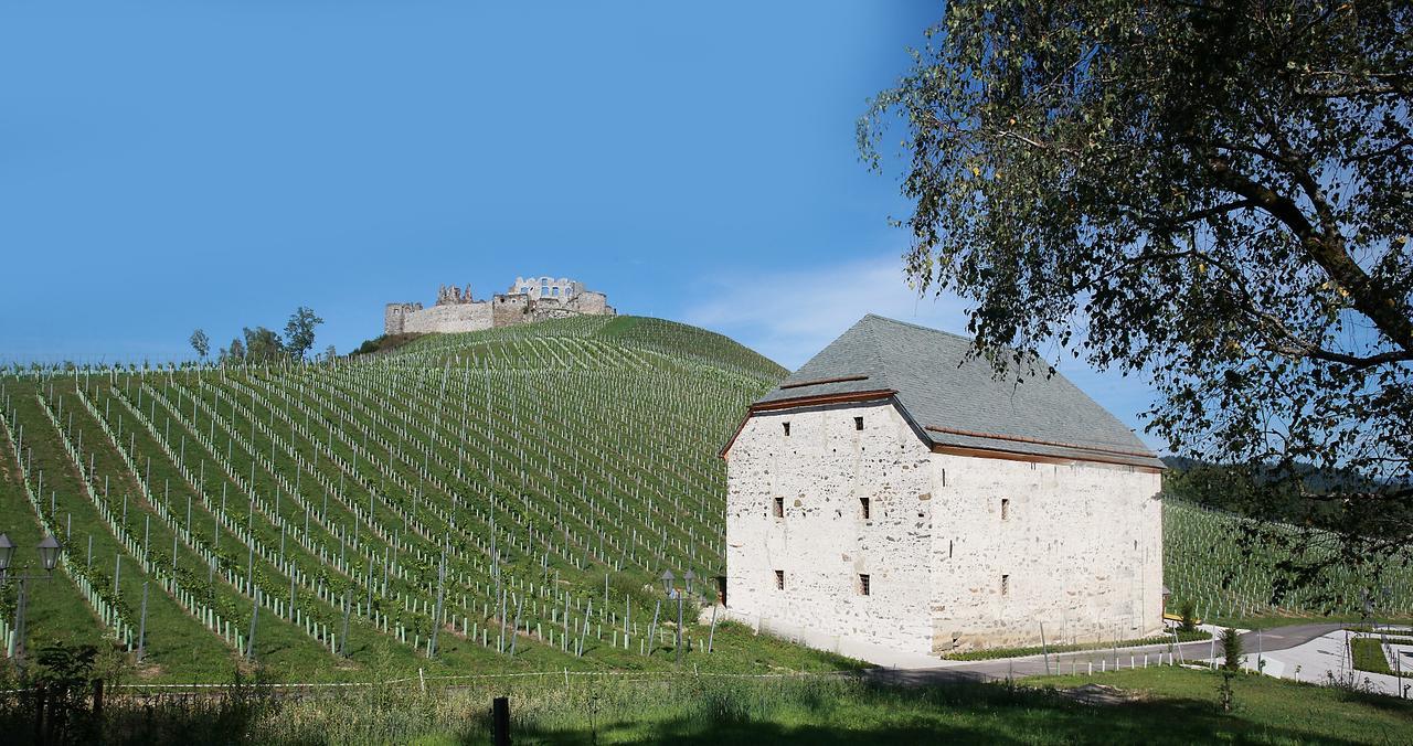 Weingut Taggenbrunn Hotel ซังค์ทเฟทอันแดกลาน ภายนอก รูปภาพ